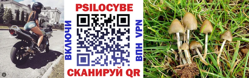 darknet телеграм  Арзамас  Псилоцибиновые грибы Magic Shrooms 