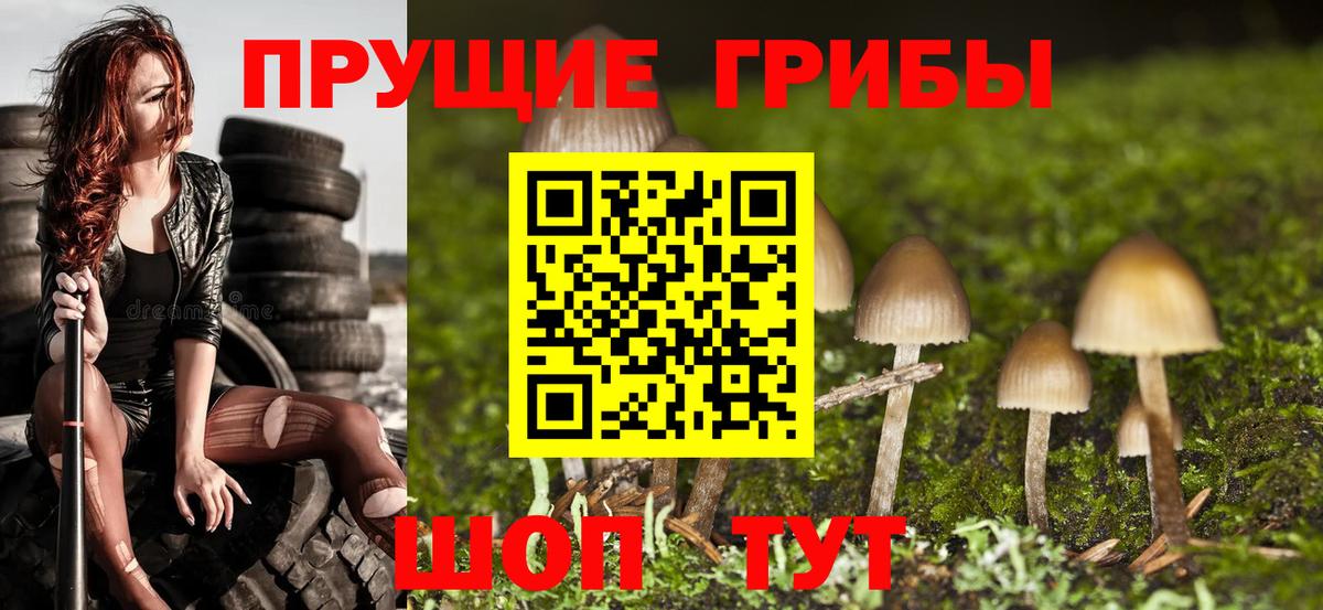 Псилоцибиновые грибы мицелий  Галлюциногенные грибы прущие грибы  Вход с VPN  Арзамас 