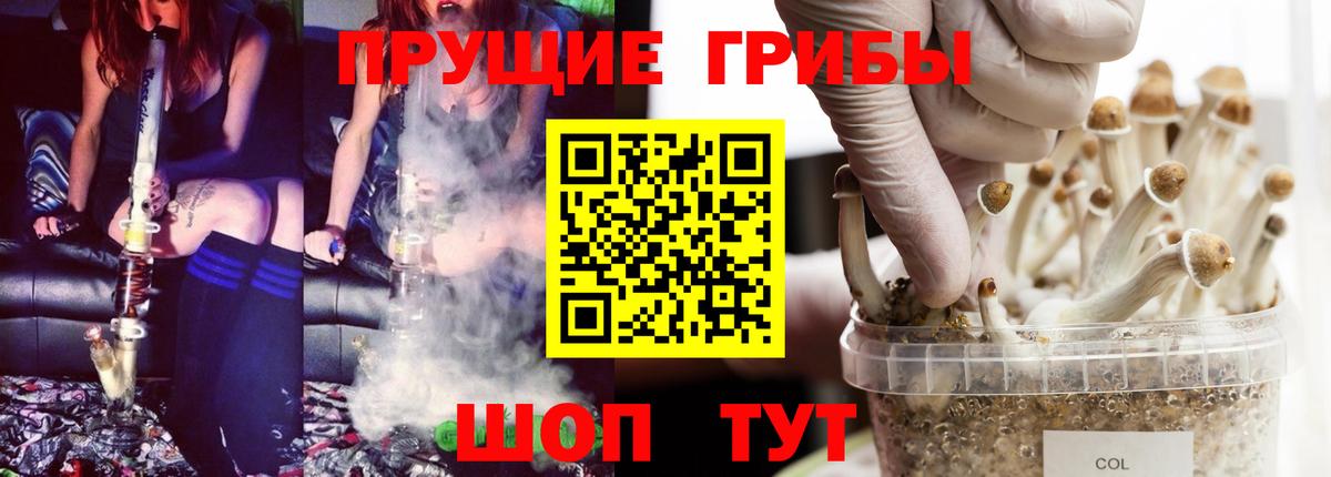 Галлюциногенные грибы Magic Shrooms Арзамас
